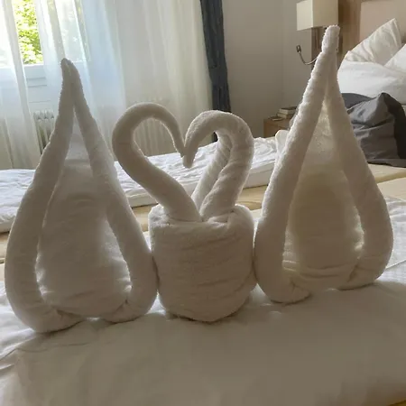 Sonne 3* Weingarten (Wuerttemberg)